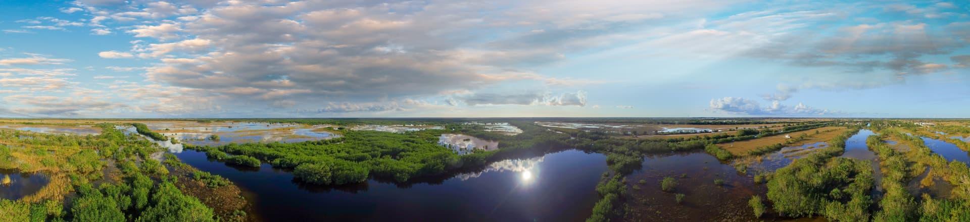 Palm-lined Florida neighborhood street